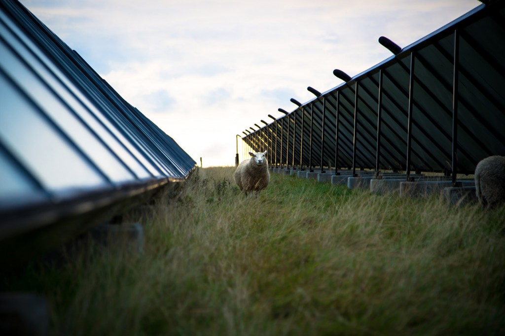 Solparkens Solceller - Sønderborg Fjernvarme